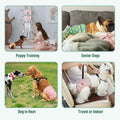 Langsprit Female Dog Diapers for Doggie Puppy,Reusable Dog Period Diapers Female for Heat Peeing,Small Medium Large Dogg