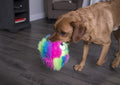 goDog Furballz Squeaky Plush Ball Dog Toy, Chew Guard Technology - Rainbow