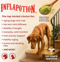 Glacier Peak Holistics Inflapotion - Natural Herbal Anti-Inflammatory for Dogs & Cats, Organic Remedy for Arthritis, Inflammation, Hip & Joint Pain, Mobility & Wellness - 3oz (90 Servings)