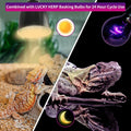 LUCKY HERP Reptile Heat Lamp 50W 2 Pack, Reptile Night Heat Bulb, Reptiles & Amphibians Basking Spot Light Bulb for Bear