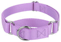 Country Brook Petz - Martingale Dog Collar - Heavy-Duty Training Collar with No Buckle - Service Dog Collar for All Pups - 20 Vibrant Colors (Lavender, 1 Inch, Medium)