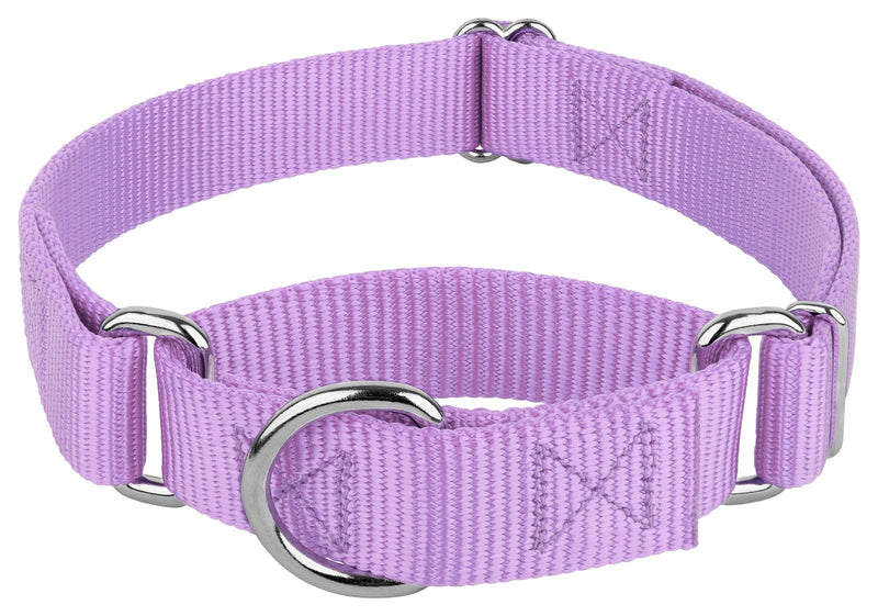 Country Brook Petz - Martingale Dog Collar - Heavy-Duty Training Collar with No Buckle - Service Dog Collar for All Pups - 20 Vibrant Colors (Lavender, 1 Inch, Medium)