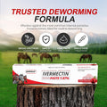 Ivermectin Horse Paste 1.87% Dewormer, Apple Flavored, 6.08g Syringe