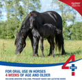 Bimeda Equimax Horse Dewormer Paste (Pack of 1)