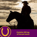 Farnam Horse Health Red Cell, Liquid Vitamin-Iron-Mineral Supplement for Horses, Helps Fill Important Nutritional Gaps i