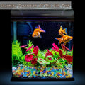 Kaiyuan Dynasty 100pc Sea Glow in The Dark Rocks Aquarium Glow Stones Rocks for Fish Tank Glow Pebbles for Fairy Garden,