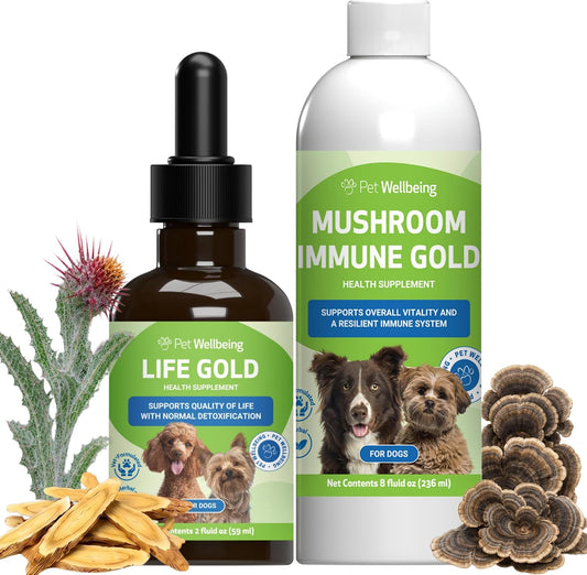 Pet Wellbeing More Mushrooms Bundle for Dogs - Immune System Support