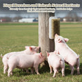 2 PCS Pig Toy, Pig Self-Grooming Scratch Brush with Hanging Hole for Barns