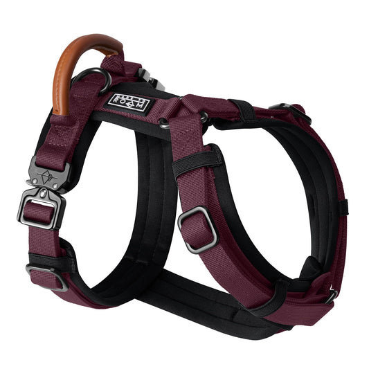 MADE TO ROAM Premium Explorer Harness - Y-Shaped Dog Harness with Adjustable Durable Nylon, Soft Padding, Metal Buckles and Leather Handle for Small, Medium, Large Dogs (Vermont Weekends, Size 4)