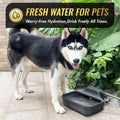 FICUSWIN 135OZ Automatic Water Dispenser for Large Dogs Patented Outdoor Dog Water Bowl Dispenser Automatic Dog Feeder Fit 3/4'' GHT Faucet Dog Waterer Include Water Hose Extra-Large Drinking Area