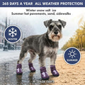Spark Paws 365 Dog Shoes - Dog Snow Boots & Booties for Small Large Dogs