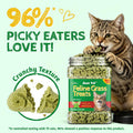 Just Try Cat Treats for Indoor Cats Hairball Control Natural Salmon Healthy Cat Grass Treats Kitten Snacks Training Biscuits Catnip for Cats Dental Care 13.4 OZ