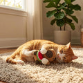 SPOT Capybara with Watermelon Plush Cat Toy, Fully Stuffed Toy with Soft Plush & Crinkle Inside, Made with Catnip and Si
