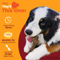 Nylabone Strong Chew Femur Bone Dog Toy Made with Real Bison & Venison