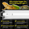 T5 Reptile Light Fixture Combo Kit 8W Light Fixture Reptile Terrarium Hood 10.0 UVB Light Bulb Fluorescent Tube Ideal fo