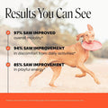 Pet Honesty Vet Recommended Hip and Joint Supplement for Dogs, 90 Count