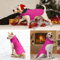 Petglad Waterproof Dog Winter Coat, Warm Fleece Dog Jacket with Leash Hole