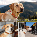 Plutus Pet Genuine Leather & Hemp Dog Collar, Adjustable, Gentle & Stylish