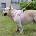 Mercano Soft Mesh Dog Harness and Leash Set, Step-in Reflective Breathable Lightweight Vest Harnesses with Safety Buckle