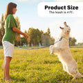 4FT Chew Proof Metal Dog Leash with Comfortable Handle, Heavy Duty Steel Cable Lead for Control Large Medium Small Dogs 