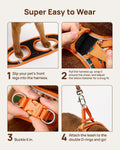 PetThem Upgraded Cat Harness and Leash Set - Step-in Escape Proof Adjustable Cat Harness, Comfortable Soft Lightweight, Reflective Harness for Walking, Travel, Camping (King of The Jungle, S)