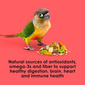 Kaytee Fiesta Conure Food, Nutritious and Fun Blend, Supports Skin, Feather, Digestion, Brain and Heart Health, 4.5 pounds