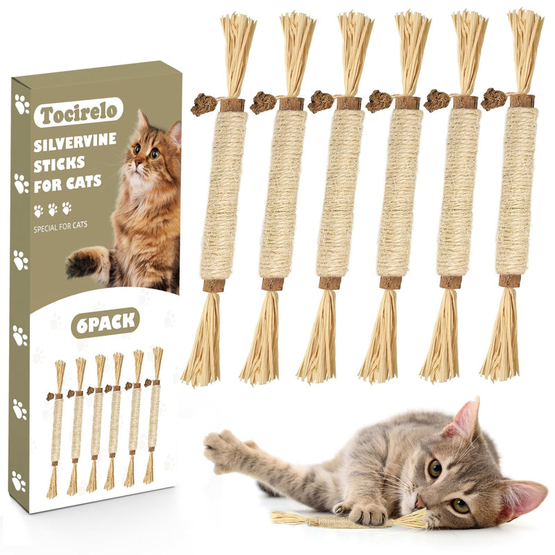 Tocirelo Silvervine Sticks Cat Toys - 6Pack Natural Cat Chew Toy Teeth Cleaning, Matatabi Dental Care Kitten Treat, Catnip Cat Teething Toys, Catmint Silver Vine Sticks for Bored Indoor Kitty