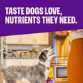 Wellness Complete Health Small Breed Adult Dry Dog Food, Wholesome Grain Kibble, Natural, Turkey and Oatmeal Recipe, 4 l