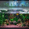 Sieral Aquarium Lids Polycarbonate Canopy Set, 36 x 18 Inch, Clear, 2 Pcs