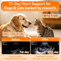 PUAINTA Heart Support - Taurine for Dogs & Cats, Senior & Overweight, 90 Ct