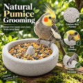 Pumice Stone Bird Feeder Bowl, 2-in-1 Food Water Dish