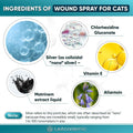 Cat Wound Care Spray is Perfect with Cat Cone | Nano Silver + Chlorhexidine in the Composition | Bites, Scratches, Redne