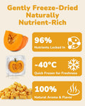 PAWUP Freeze Dried Pumpkin Treats for Dogs & Cats – Single Ingredient High Fiber Dog Food Topper for Digestion & Gut Health, Natural Pet Snacks for Sensitive Stomachs, 1.58 oz