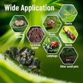 Jumping Spider Enclosure,DIY Insects Habitat,Small Reptile Terrarium Glass House Accessories Set,with Jumping Bridge Hid