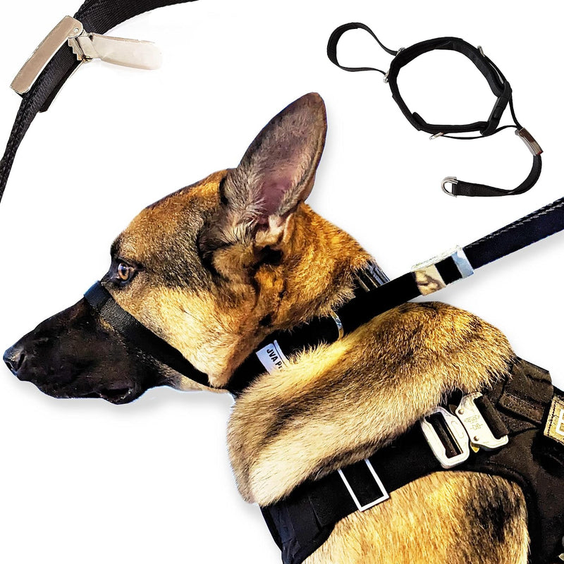 PetsProMax No-Pull Dog Headcollar for Large Dogs (Size L) - Instantly Stops Pulling, Comfortable & Safe Training Collar,