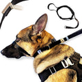 PetsProMax No-Pull Dog Headcollar for Extra Large Dogs; Instant Stop Pulling; Gentle Training Collar for Dogs; Comfortab