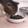 Ceramic Cat Bowls, Howise Pet Bowl Cat Dishes for Food and Water, 5.3 in Cat Food Dish 3 Pack Cat Food Bowls Set Small D
