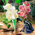 Chuangdi 2 Pcs Artificial Phalaenopsis