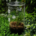 2 Pack Jumping Spider Feeding Dish, Acrylic Tarantula Water Dish Food Bowl