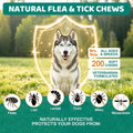 Flea and Tick Chews for Dogs, Natural Coat Care Nutritional Supplement