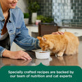 Nutrish Indoor Complete Chicken, Lentils & Salmon Recipe Dry Cat Food, 6 lb. Bag, Packaging May Vary (Rachael Ray)