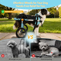 TailWaggers Dog Wheelchair for Back Legs | Adjustable Mobility Aid | All-Terrain Wheels