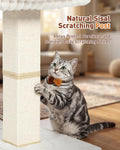 Modern Cat Scratching Post with Top Plush Bed for Indoor Cats