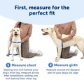 PetSafe Easy Walk Harness, No Pull Dog Harness, Raspberry