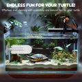 Turtle Toys for Aquatic Turtle Tank Accessories, Brush and 4 Balls