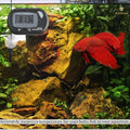 SunGrow Digital Betta Thermometer for Tropical Aquarium Fish, Black Color, Suction Cups and 1 Battery Included, 1 pc per