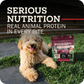 Redbarn Puppy Powerfood Air Dried Dog Food or Dry Topper, Beef & Lamb, 2lb
