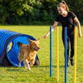 13pcs Large Dog Agility Training Equipment with 28'' Tunnel and Weave Poles