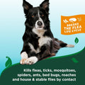 Vet’s Best Waterless Flea and Tick Dog Bath – Natural Flea & Tick Prevention – Dog Dry Shampoo Spray with Essential Oils – Kills Pests on Contact – Made in USA – 8 oz
