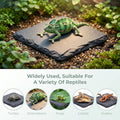 Basking Platform Turtle Reptile Basking Tortoise Slate Rock Plate 6 Inch